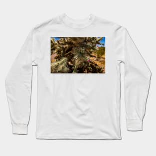 Cholla Cactus along the Apache Trail Long Sleeve T-Shirt